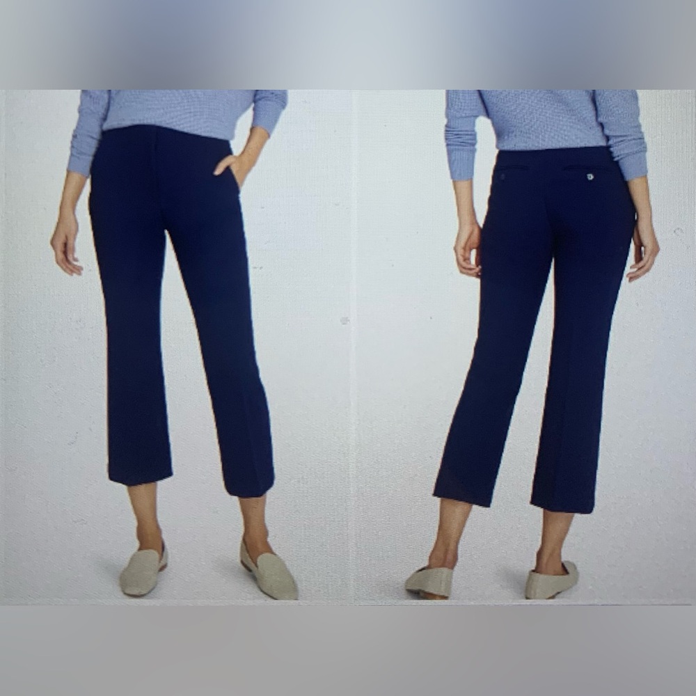 Club Monaco Crop Kick Flare Pants in Navy Blue